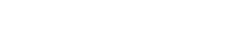 RAM Inc.